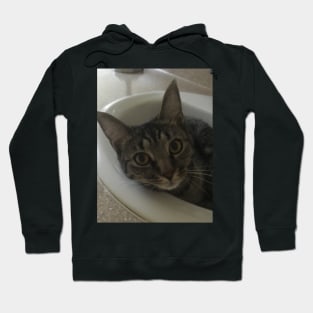 Sink Kitty Hoodie